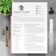 Clean and Modern Resume Template For Pages and Word - GraphicRiver Item for Sale