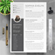 Modern Executive Resume Template 2021 For Word and Mac Pages - GraphicRiver Item for Sale