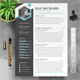 Professional Resume Template Word - GraphicRiver Item for Sale