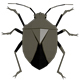 Bug low poly - 3DOcean Item for Sale