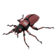 Bug low poly - 3DOcean Item for Sale