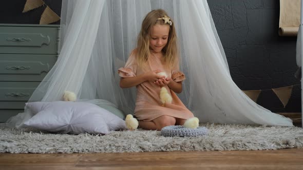 Little Girl Playing with Baby Chickens Indoors