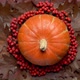 Orange pumpkin. Autumn still life. Halloween holiday. - VideoHive Item for Sale