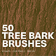 50 Tree Bark Photoshop Stamp Brushes - GraphicRiver Item for Sale