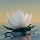Binaural Meditation with Nature samples - AudioJungle Item for Sale