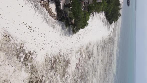 Zanzibar Tanzania  Vertical Video of Low Tide in the Ocean Near the Coast Slow Motion