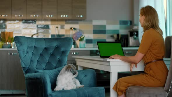 Young American Woman is Using Laptop and Talking at Table in Apartment Interior Rbbro