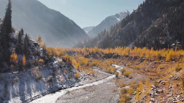 Aerial View of Mountain Landscape of Autumn Forest on the River