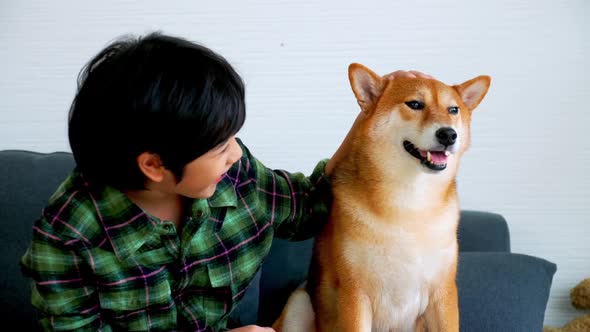 Asian boy having fun playing with his dog on sofa at home.