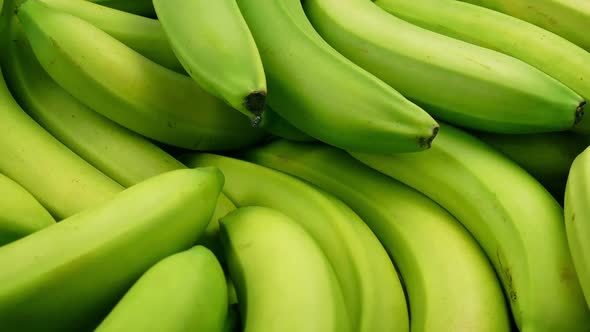 Pile Of Bananas 