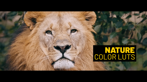 Nature LUTs for Final Cut alt