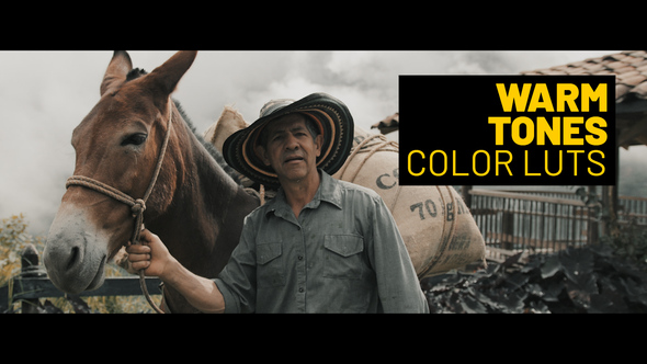 Warm Tones LUTs for Final Cut alt