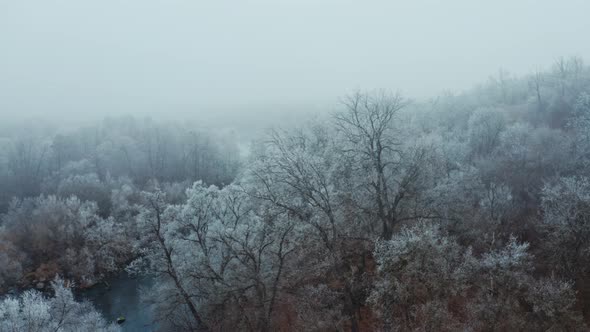 River in the Forest in Winter