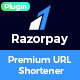 Razorpay Payment & Subscription Plugin for Premium URL Shortener - CodeCanyon Item for Sale
