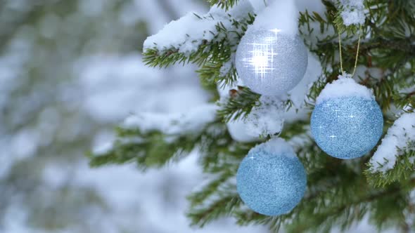 Christmas Balls are Shining on the Snow-Covered Spruce