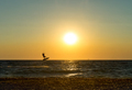 Kite boarder performing a jump at sunset - PhotoDune Item for Sale