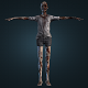 Zombie Woman - Full 3D Model 2k - 3DOcean Item for Sale