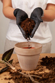 Transplanting a houseplant into a new flower pot. - PhotoDune Item for Sale