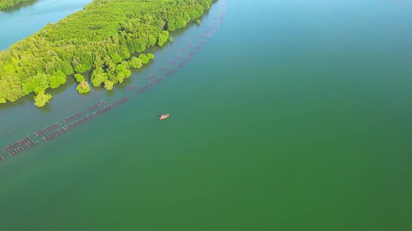 An island-shaped mangrove forest in the middle of a river mouth near the sea.