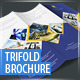 Business Trifold Brochure - v5 - GraphicRiver Item for Sale