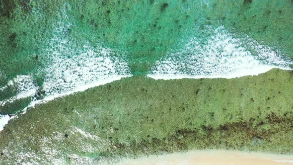 Aerial landscape of idyllic shore beach wildlife by blue ocean and white sand background of journey 