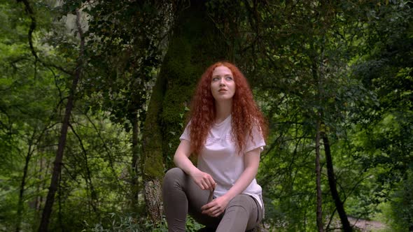 Woman Sitting Above Tree in Forest