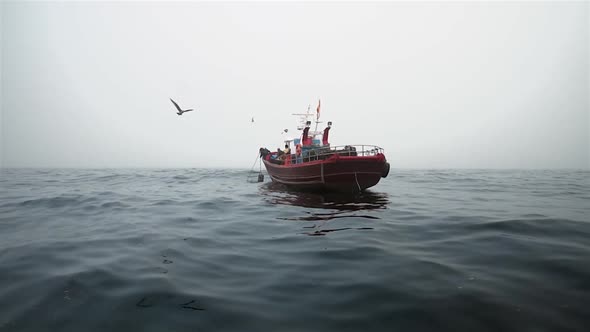  Boat fishing octopus in the fog