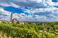 Panoramic vineyard with cityscape - PhotoDune Item for Sale