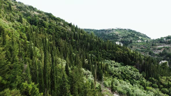 Aerial view of green hills.