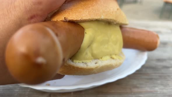 Eating long pork sausage close up