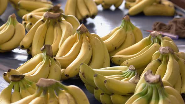 Banana Bunches at Open Air Stall