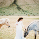 Bride in a white dress strokes a horse in the pasture. Iceland - photodune.net Item for Sale