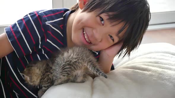 Cute Asian Child Playing With Short Hair Kitten