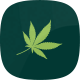 Narioz - Cannabis & Marijuana PSD Template - ThemeForest Item for Sale