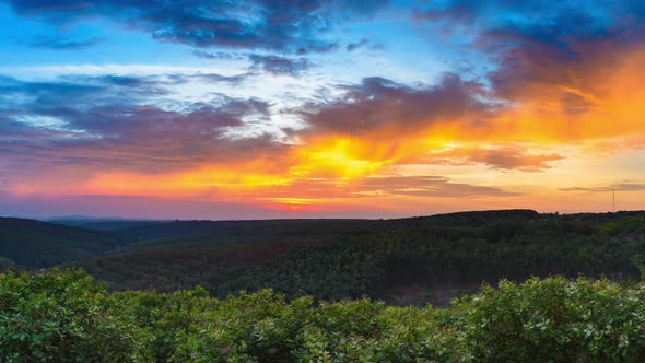 Panorama sunset over rubber cashew trees industrial plantation agriculture in Ba