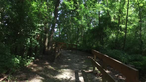 Hiking and Walking on Wood Path in Woods Forest