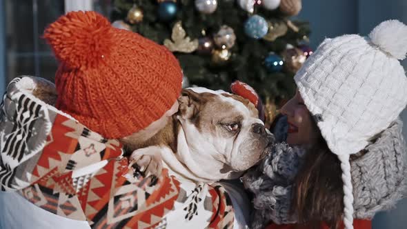 Couple And Their Dog in Santa Cap Spend Time Together Kissing and Hugging at Xmas Eve
