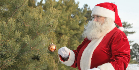 Forest Decoration alt