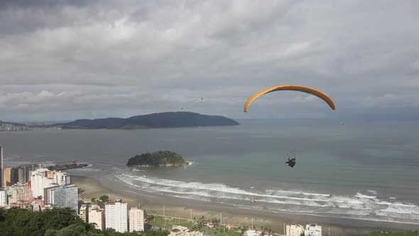 Paragliders share sky above Santos Brazil with large black birds