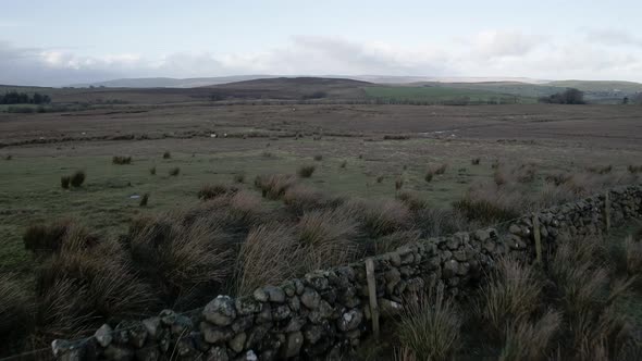 Irish peat bog aerial view