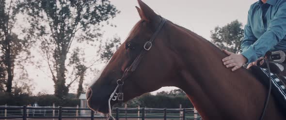 Cowgirl on a Horse Ranch