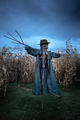 Scary scarecrow in a hat and coat - PhotoDune Item for Sale