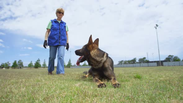 Trainer walking towards shepherd dog in field