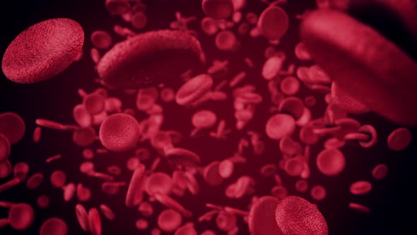 Blood Cells Under A Large Increase Move Along The Artery Or Vein 4k