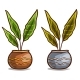 Cartoon Colorful Plants with Leaves in Flower Pot - GraphicRiver Item for Sale
