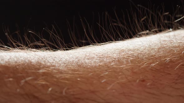 Hand Surface with Hair Closeup