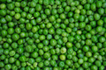 Background Texture Of Garden Peas - PhotoDune Item for Sale