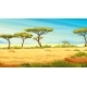 African Savannah Landscape Green Trees Mountains - GraphicRiver Item for Sale
