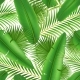 Tropical Green Leaves Seamless Pattern 3D Design - GraphicRiver Item for Sale