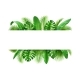 Frame Exotic Tropical Leaves Realistic Background - GraphicRiver Item for Sale